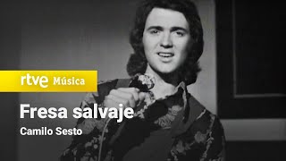Camilo Sesto - &quot;Fresa salvaje&quot; (1972)
