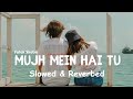 Mujh Mein Hai Tu Slowed Reverbed Falak Shabir Slowestic