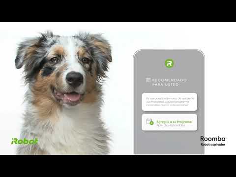 thumbnail video image 2 of Robot Aspiradora iRobot Roomba I3+ EVO con Conexión Wi-Fi, 2 of 5