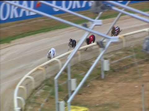 Sporting Dave – Coral Sussex Cup Heat 3