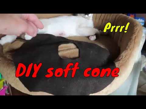 How to make a soft cone replacement that your cat will tolerate after surgery, and it works!