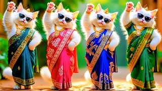 Funny Cat Videos 😹🐾️Funny Videos For Cats 😹Viral Cat Dance 💃#dancingcat #catdance #cat @furrycornerz