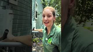 Older homes often come with hidden risks you might