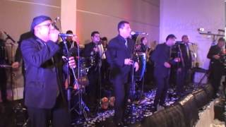 CAFÉ ORQUESTA - EL TORO NEGRO