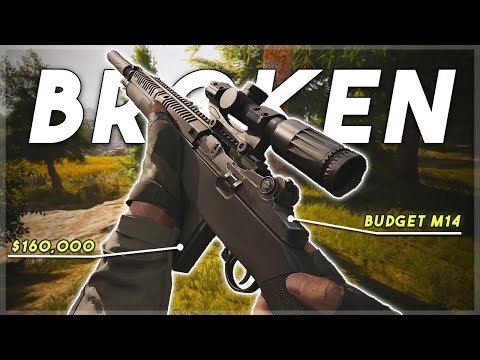 The BEST BUDGET Gun in Arena Breakout Infinite (M14)