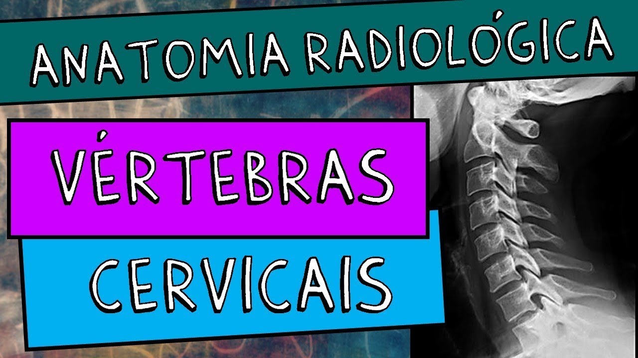 Anatomia radiológica (RX) da Coluna vertebral - Vértebras cervicais