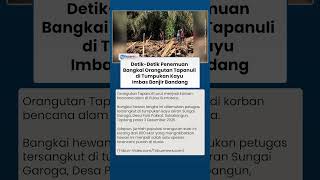 Hewan Langka Orangutan Tapanuli Jadi Korban Banjir Bandang, Bangkai Ditemukan di Tumpukan Kayu