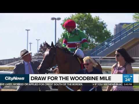 The draw for the Woodbine Mile