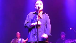 I’ve Got My Body ~ Poi dog Pondering Oct 6, 2018