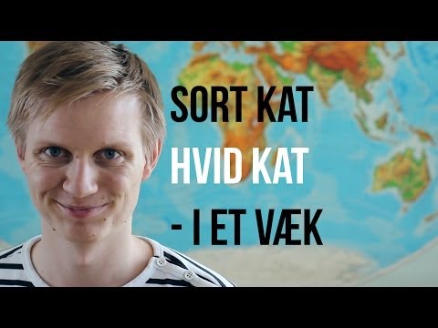 Sort Kat Hvid Kat - I Et Væk ANBEFALING