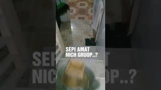 Download lagu Buat macing di group wa pasti bikin #storywadangdut rame mp3 Download lagu Buat macing di group wa pasti bikin #storywadangdut rame mp3