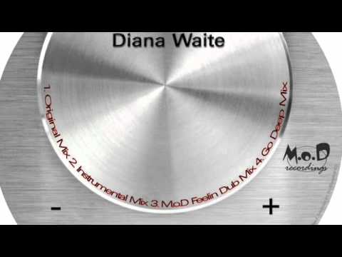 Park Street Feat. Diana Waite (Original Mix)