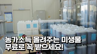 농가소득 올려주는 유용 미생물 왜 써야할까?