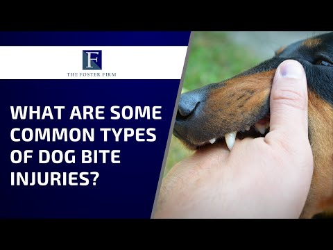 What Are Some Common Types of Dog Bite Injuries?