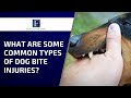 What Are Some Common Types Of Dog Bite Injuries
