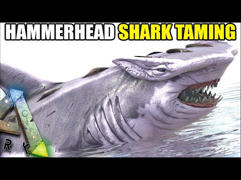 HAMMERHEAD SHARK TAMING | MYTHICAL BEASTS | ARK SURVIVAL EVOLVED [S2 EP22]