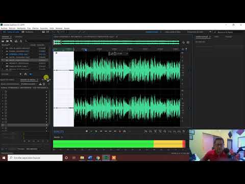 Remove the sound from a song with Audition, which is super easy.