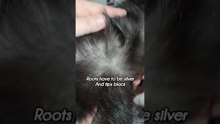 Lydia is a dark black smoke #cat #mainecoon #catlover