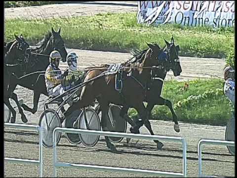 Trotto 20/05/2016 - 6° corsa