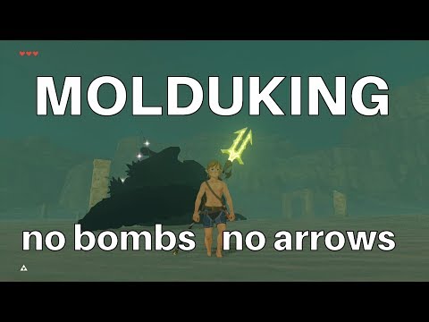 Zelda: Quick Molduking Fight without Bombs/Arrows
