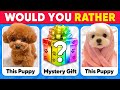 Would You Rather MYSTERY Gift ANIMALS Edition