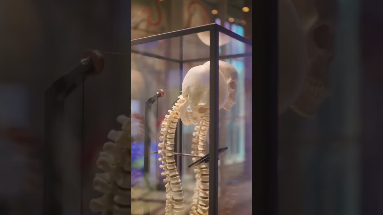 YouTube Short thumbnail