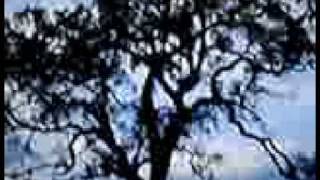 Orlando Silva - Caprichos do destino - Valsa de 1937