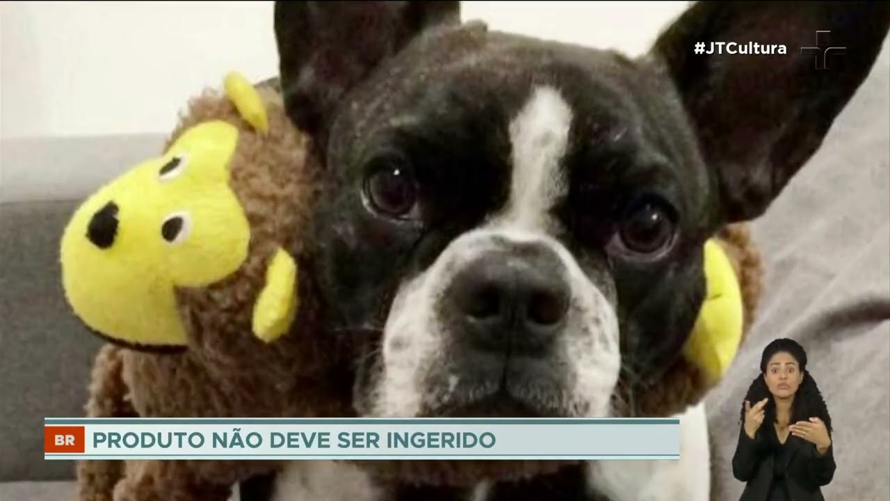 Tutores de cães vítimas de petiscos com suspeita de contaminação criam grupo para enfrentar o luto