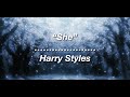 Harry Styles — “She” (Lyric Video)
