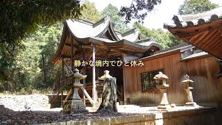 2022.04.17 加古川河畔の正法寺山を歩いてきました