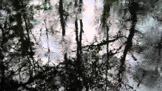 Flowing Tears &amp; Withered Flowers - The Day You Took My Breath