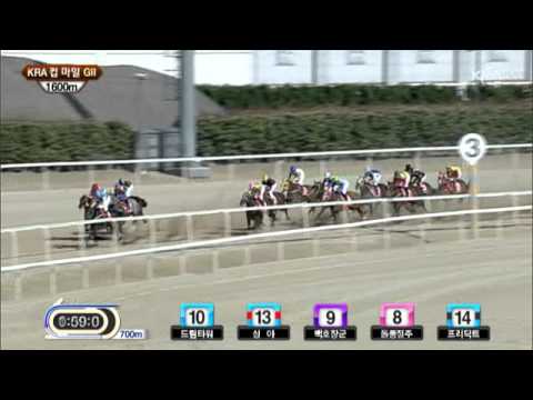 KRA Cup Mile 2012 - Gyeongbudaero