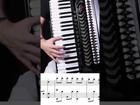 Zigue - zague Da Sanfona - Galvão