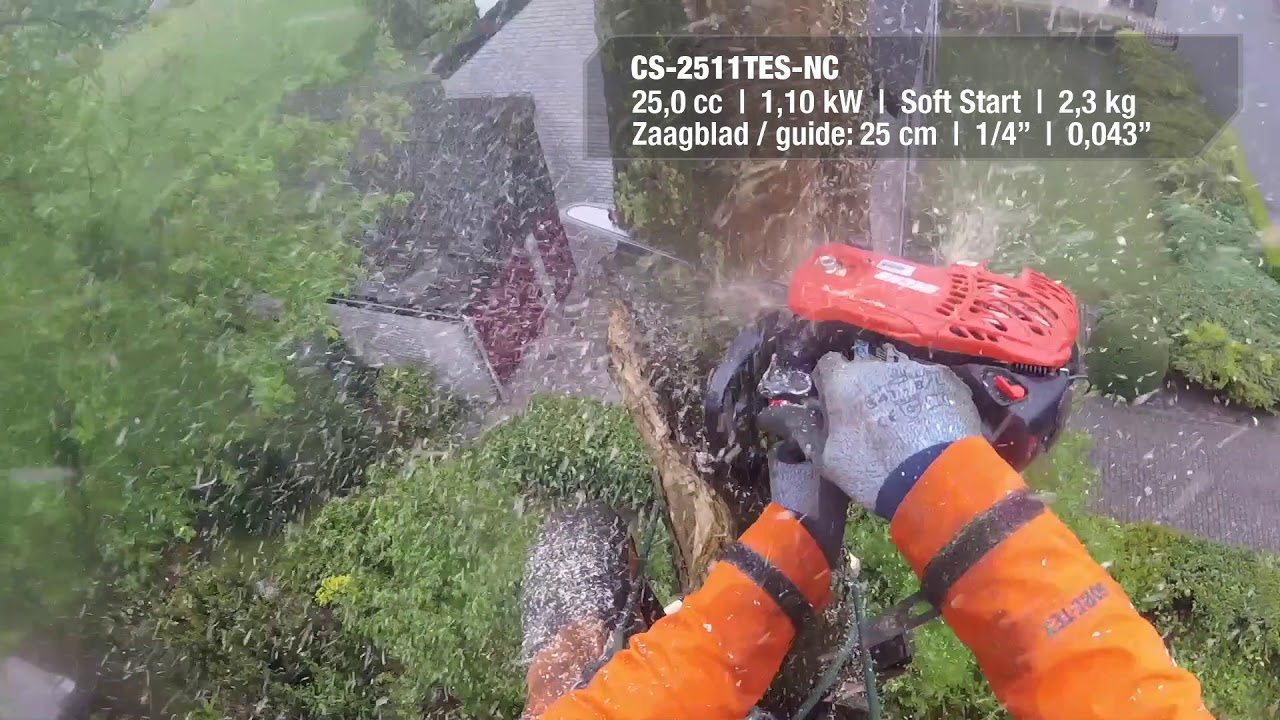 Tronçonneuse élagueuse CS2511TES 1/4