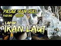 Jual Ikan Hias Laut Di Pasar Parung