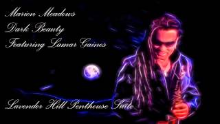 Marion Meadows Soul Traveler Album