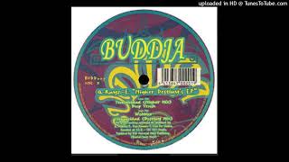 Q RAYZ E - TECHNICIDAD ( DESTINY MIX)