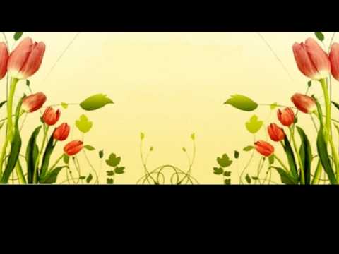 Realiteti i mevludit dhe theniet e dijetareve ne lidhje me te