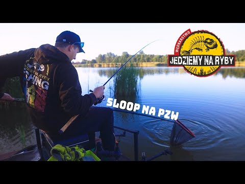 SLOOP on the Polish Angling Association - An adventure with the method on new waters