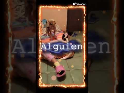 25 de diciembre de 2022