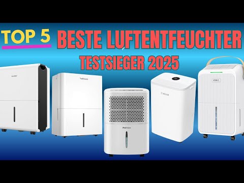 Luftentfeuchter Test 2025: Die 5 besten Modelle für Keller, Bad & Wohnung!