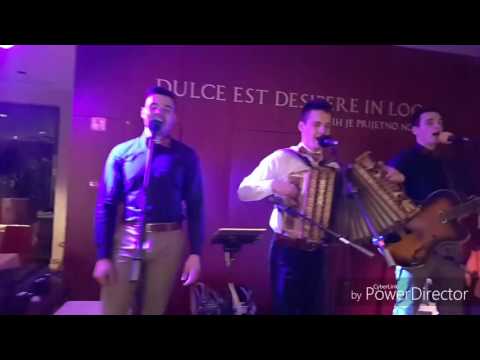 VESELI SAVINJČANI-NA ŠPILU (live 2017)