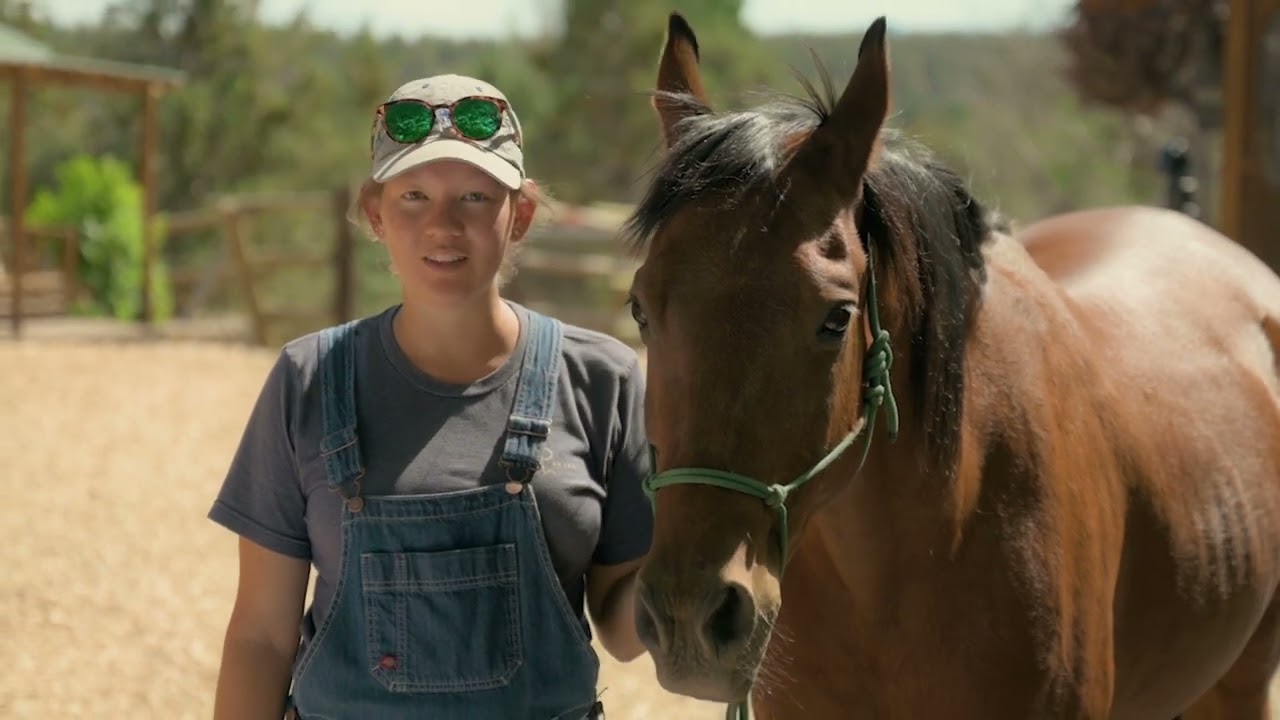 Interns Veteran Horses