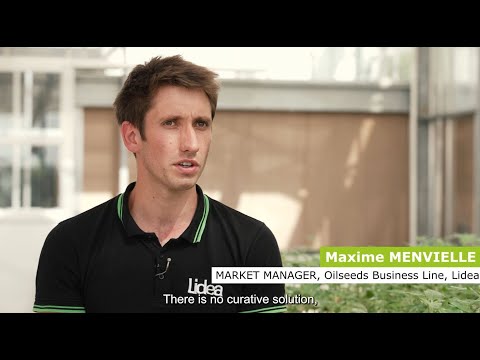 Mildew Master Label, for sustainable control of Downy Mildew by gene resistance management