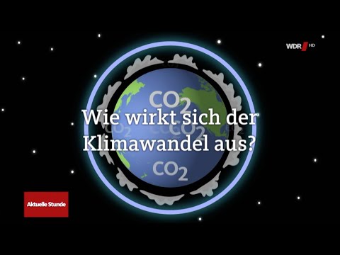 Die globale Klimakatastrophe  - Klimaforscher schlagen Alarm  - ARD 03.12.2018