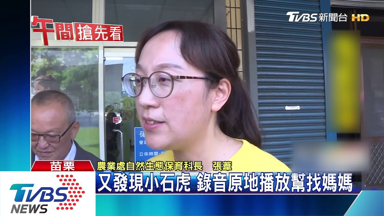 又發現小石虎　錄音原地播放幫找媽媽