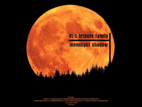 Dj's Tribute Family - Moonlight Shadow (Alex Nocera & Maurizio Montanari Club Rmx)