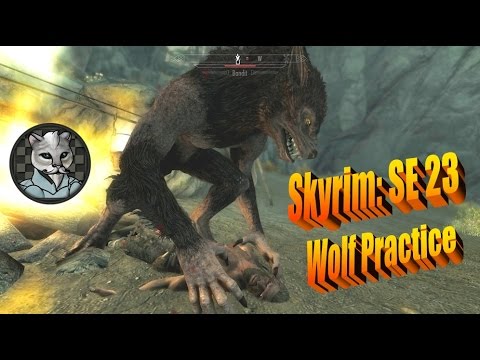 Skyrim: Special Edition Let's Play - Mellow 23 - Wolf Practice