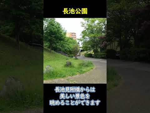 薄手の屋外カーテンは、屋根付きの閉じたガーデンテラスを飾ります