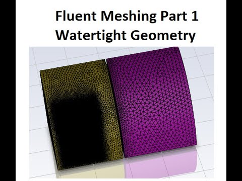 Fluent Meshing Ansys Fluent(Water Tight)
